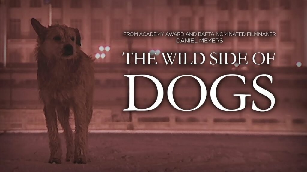 The Wild Side of Dogs (Documentary)