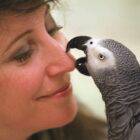 Alex and Me: The genius of Alex the Parrot