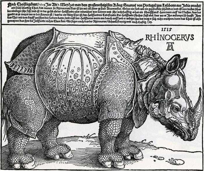 Dürer's Rhinoceros