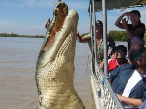 Can a crocodile capsize a boat?